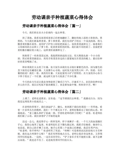 劳动课亲手种植蔬菜心得体会