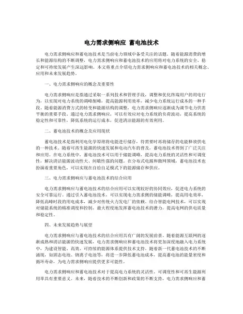 电力需求侧响应 蓄电池技术