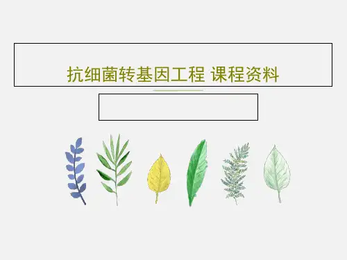 抗细菌转基因工程 课程资料33页PPT
