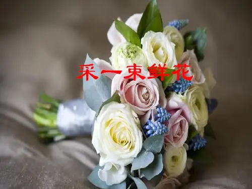 四年级上册音乐课件采一束鲜花 (4)｜人音版(简谱)(秋)