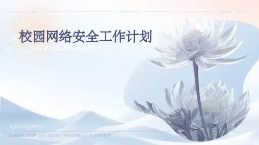 校园网络安全工作计划PPT
