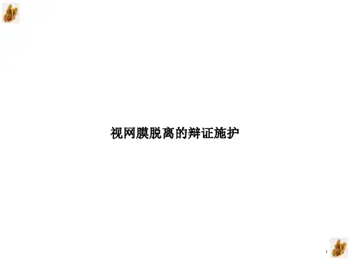 视网膜脱离的辩证施护ppt课件