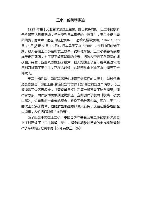 王小二的英雄事迹