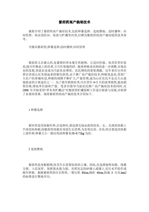 紫莳药高产栽培技术