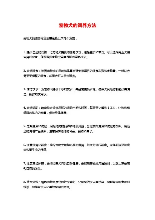 宠物犬的饲养方法