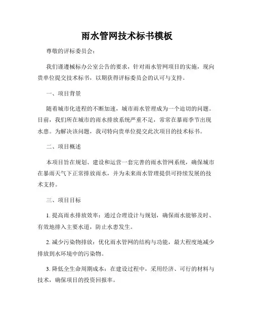 雨水管网技术标书模板