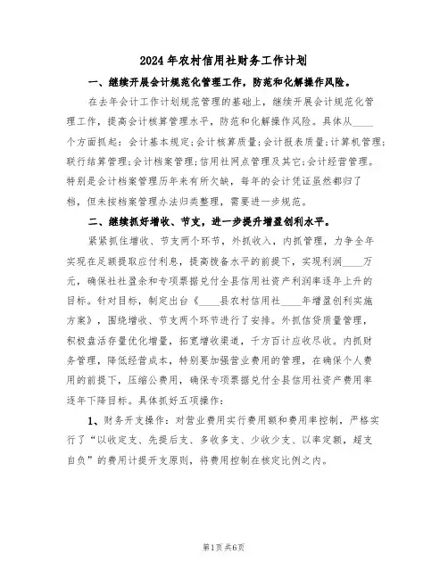 2024年农村信用社财务工作计划（2篇）