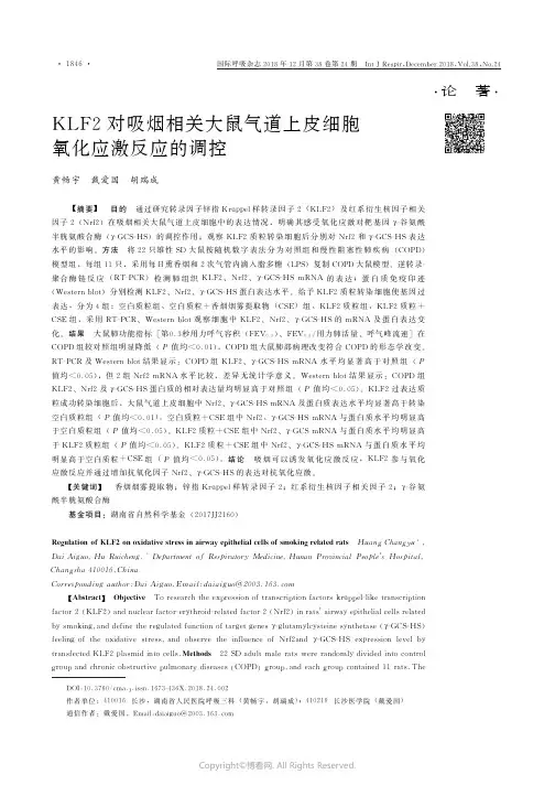 KLF2对吸烟相关大鼠气道上皮细胞氧化应激反应的调控_