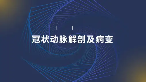 冠状动脉解剖及病变