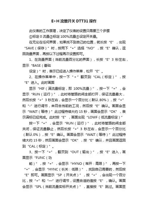E+H流量开关DTT31操作