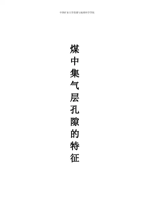 煤中储集层的孔隙特征