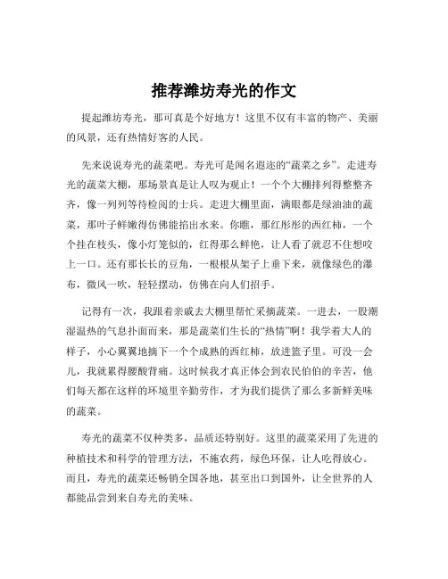 推荐潍坊寿光的作文