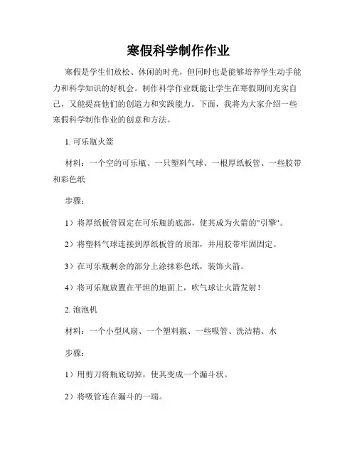 寒假科学制作作业