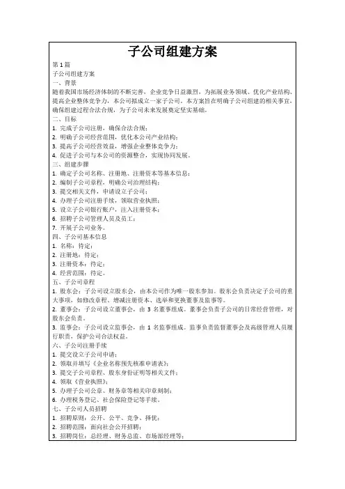 子公司组建方案