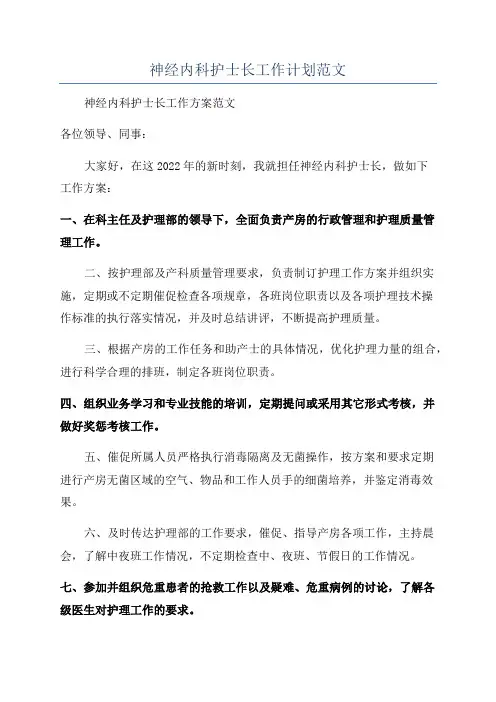 神经内科护士长工作计划范文