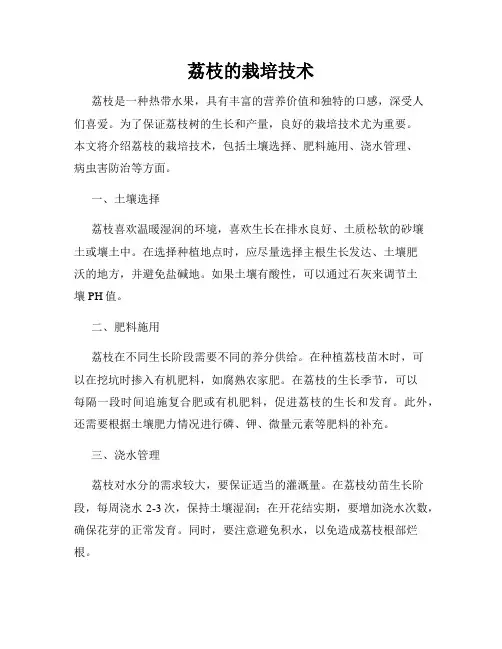 荔枝的栽培技术