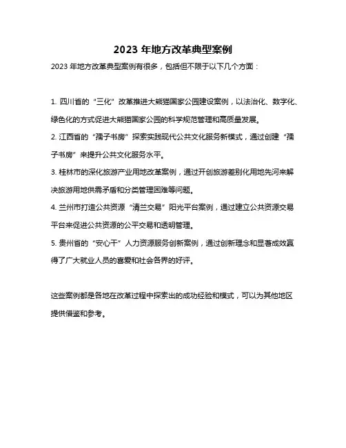 2023年地方改革典型案例