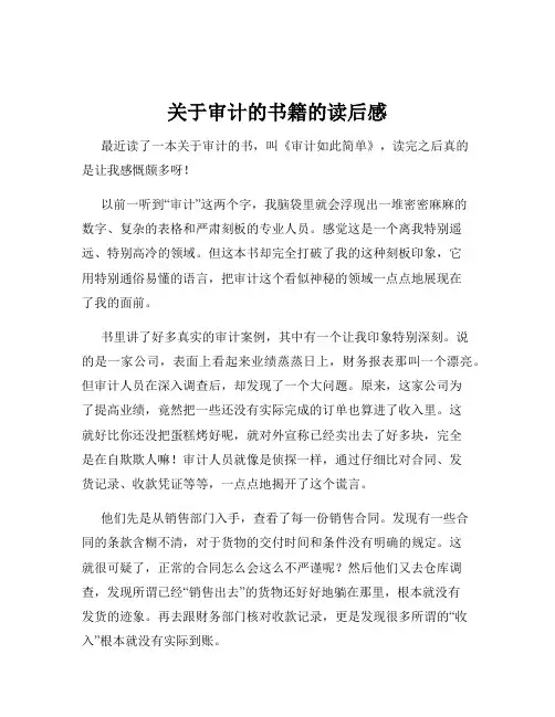 关于审计的书籍的读后感