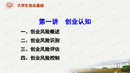 第八讲--创业风险