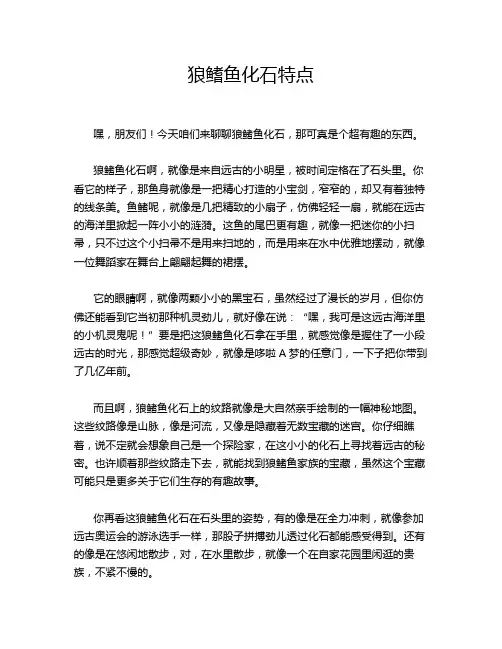 狼鳍鱼化石特点