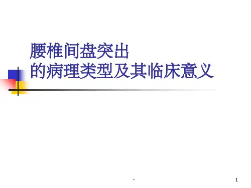 腰椎间盘突出的病理类型及其临床意义 ppt