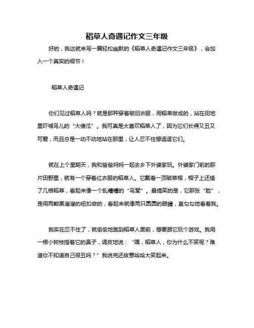 稻草人奇遇记作文三年级