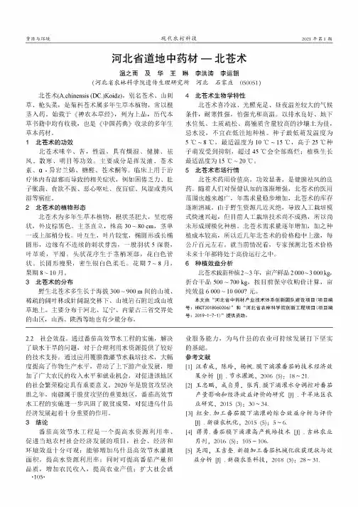 河北省道地中药材——北苍术