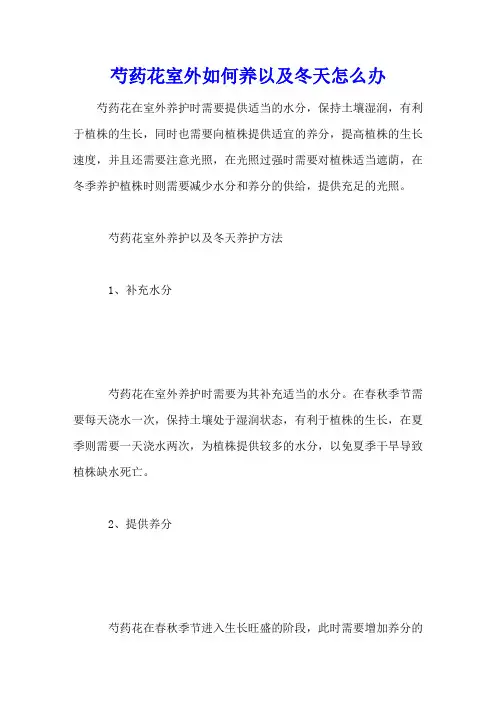 芍药花室外如何养以及冬天怎么办