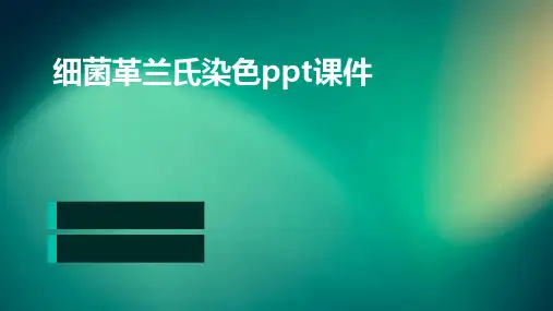 细菌革兰氏染色PPT课件