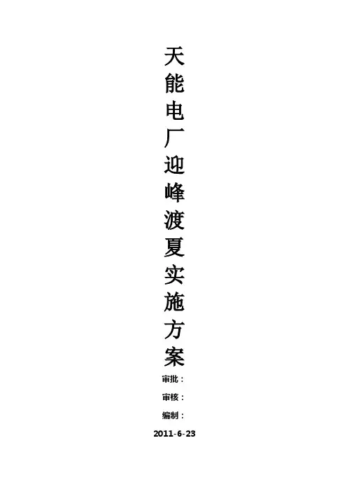 天能电厂迎峰度夏保证设备安全运行方案措施.