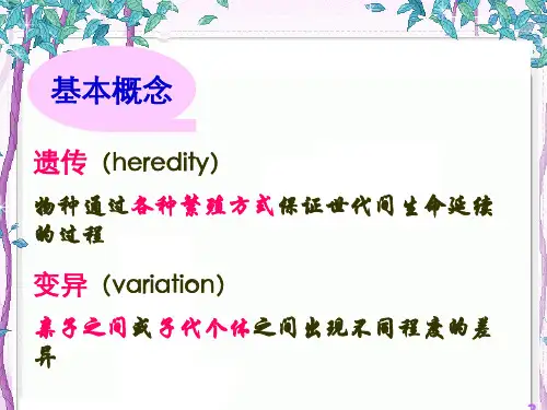 _外源化学物致突变作用