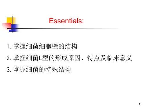 细菌的形态与结构-文档资料