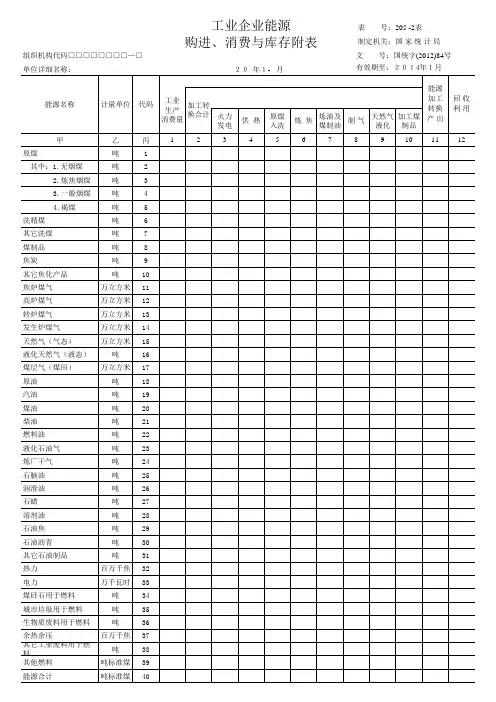 能源购进、消费与库存(205-1、205-2表)