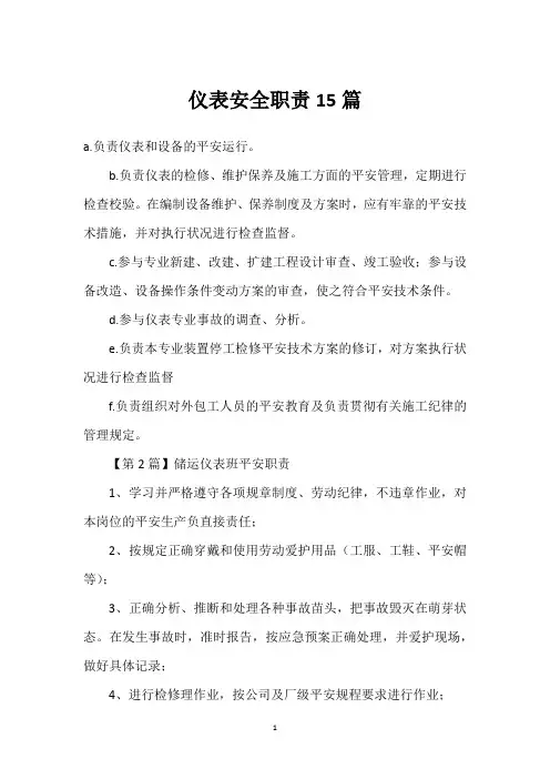 仪表安全职责15篇