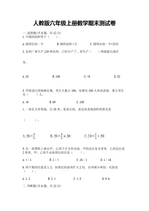 人教版六年级上册数学期末测试卷附完整答案(夺冠系列)
