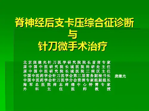 脊神经后支卡压综合征的诊断与。。