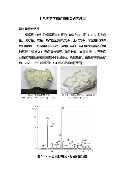 工艺矿物学和矿物组合研究成度图文介绍(锂辉石、微斜长石、白云母、铌钽矿物、锂电气石岩矿物组合特征)