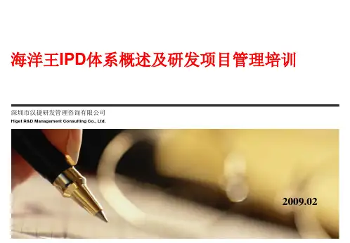 IPD体系培训实例.