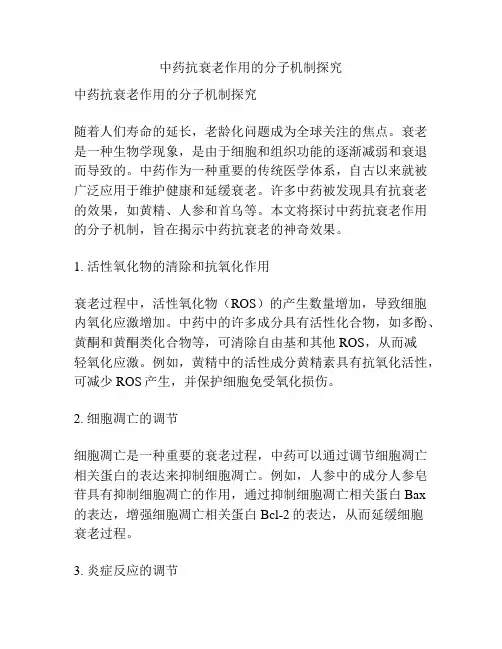 中药抗衰老作用的分子机制探究