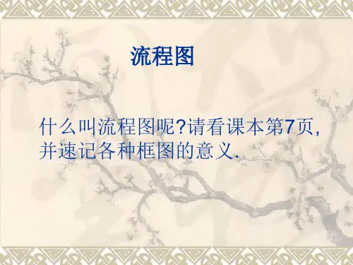 流程图(顺序结构)PPT课件