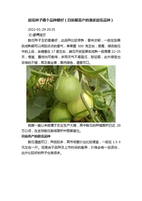 甜瓜种子哪个品种最好（目前最高产的薄皮甜瓜品种）