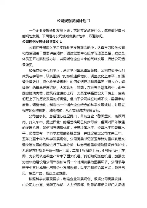 公司规划发展计划书