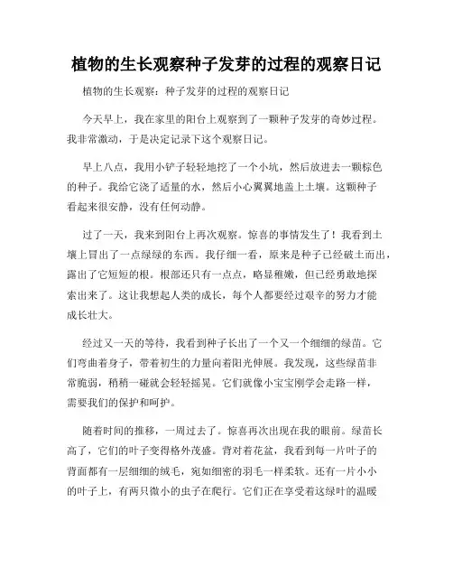 小学三年级作文植物的生长观察种子发芽的过程的观察日记