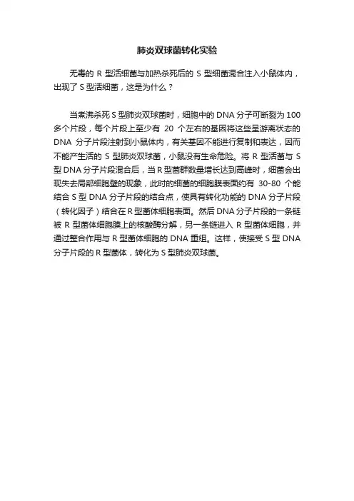 肺炎双球菌转化实验