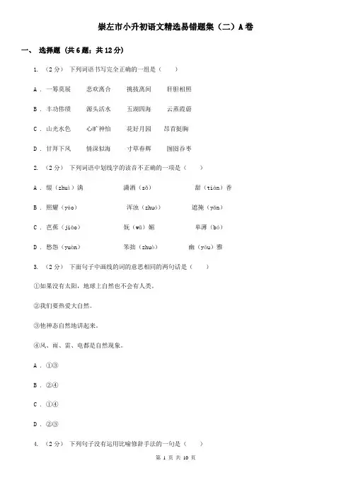 崇左市小升初语文精选易错题集(二)A卷