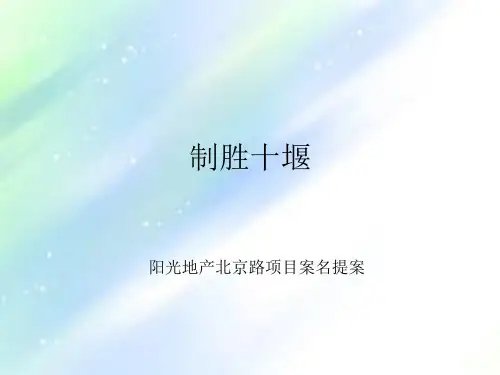 新项目案名提案ppt