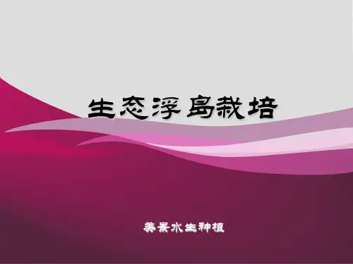 生态浮岛如何种植(案例讲解)