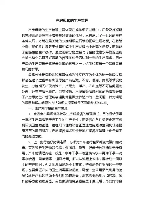 产房母猪的生产管理