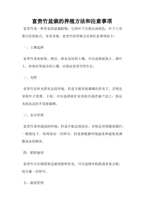 富贵竹盆栽的养殖方法和注意事项