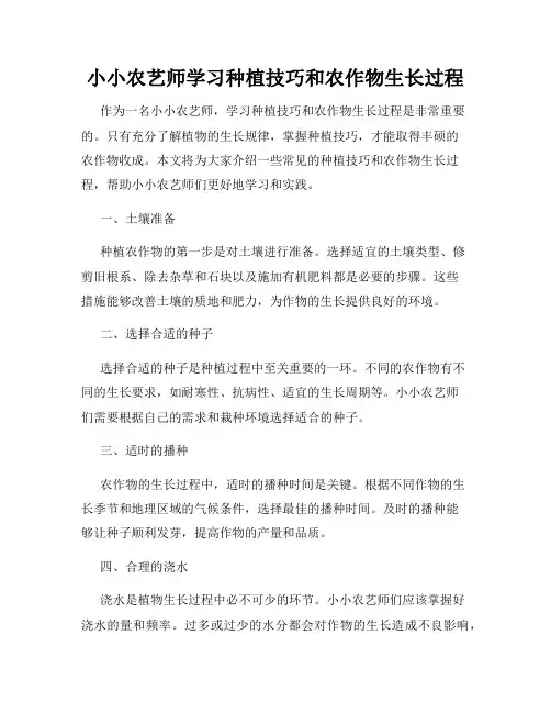 小小农艺师学习种植技巧和农作物生长过程
